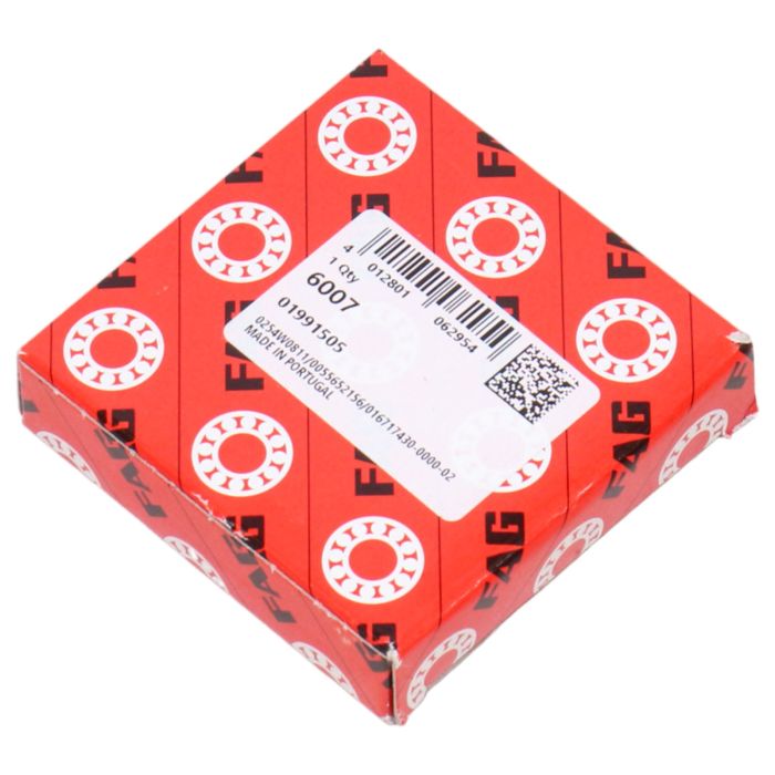 FAG 6007 main product photo