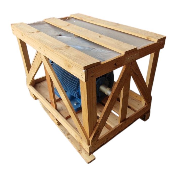 WEG W22 IE2 GY 250S/M-04 55KW 4p B3T main product photo