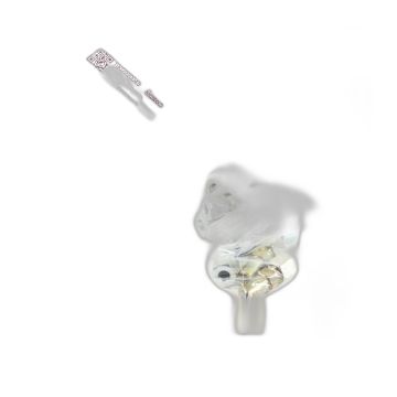 RASTELLI RACCORDI TN 132-16-10S ID902220045,