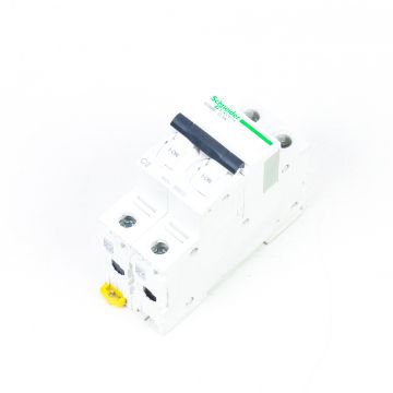 Schneider Electric IC60N-C2A  at PLC2Day.com