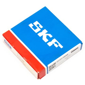 SKF N213ECP  at PLC2Day.com
