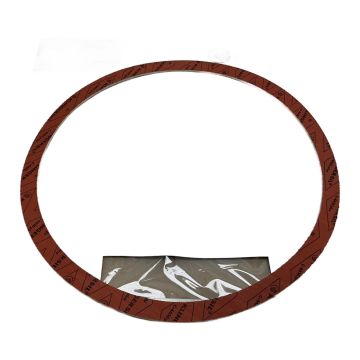 C-4430plus 346x312x3.0mm Klingersil Aramid fibre gasket,