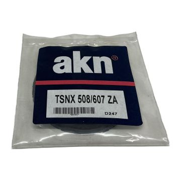 TSNX 508/607 ZA AKN Bearing Housing Seal,