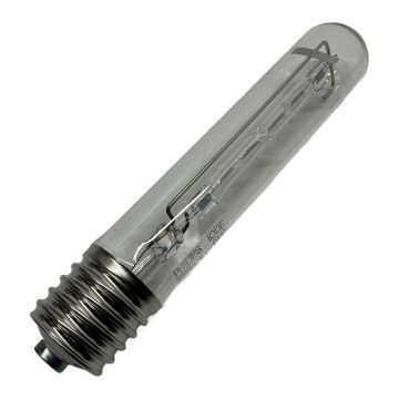 HalA IDE 500W E40 230V 923900144240 Philips Tungsten Halogen Lamp