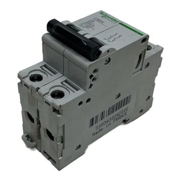 C60N 24200 Schneider Electric Miniature Circuit Breaker,