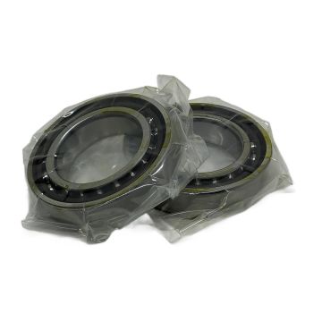 S6008 C TA P4+ DUL GMN High Precision Ball Bearings,