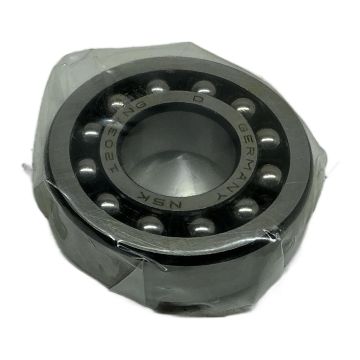 1203TNG NSK Self-aligning ball bearing,