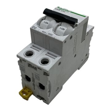iC60N D2A A9F05202 Schneider Electric Automatic Circuit Breaker,