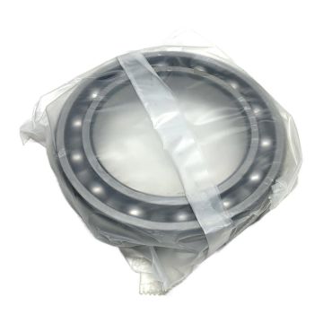 6024CM NSK Deep Groove Ball Bearing,