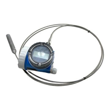 Levelflex FMP56-1H89/0 FMP56-AAACAALAABGDE Endress+Hauser Level Measuring Instruments,