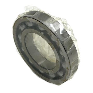 16006 SKF Deep Groove Ball Bearing,
