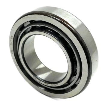 NU1006 FAG Cylindrical Roller Bearings,