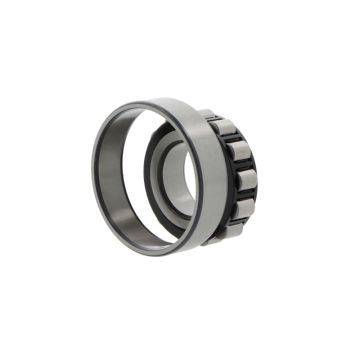 • Article: N204 ECP • Manufacturer: SKF • Condition: New • Price: Attractive!